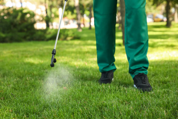 Best Residential Pest Control  in Clymer, PA