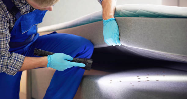Best Termite Control Services  in Clymer, PA