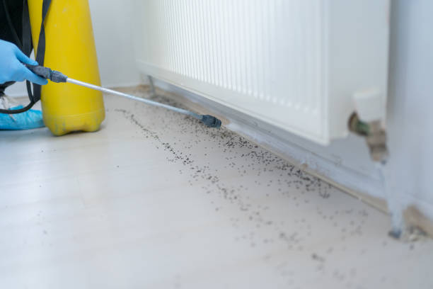 Best Pest Removal Services  in Clymer, PA
