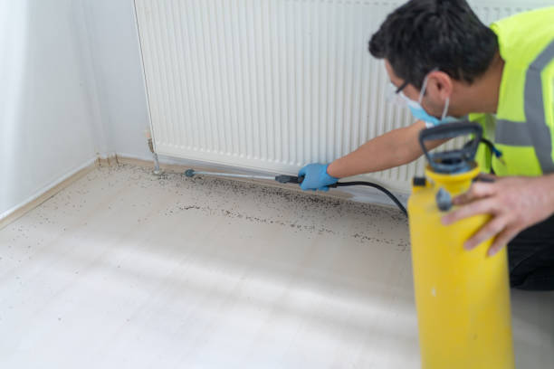 Best Termite Control Services  in Clymer, PA