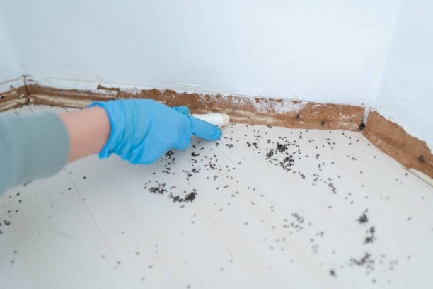 Clymer, PA Pest Control Company